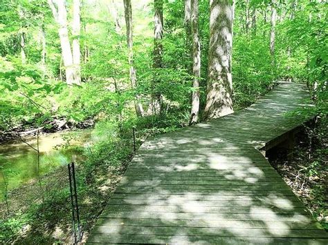 HEMLOCK BLUFFS NATURE PRESERVE (2025) All You Need to Know BEFORE You ...