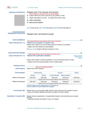 Europass CV Template - Blank Fillable Template | Fill Out, Print ...