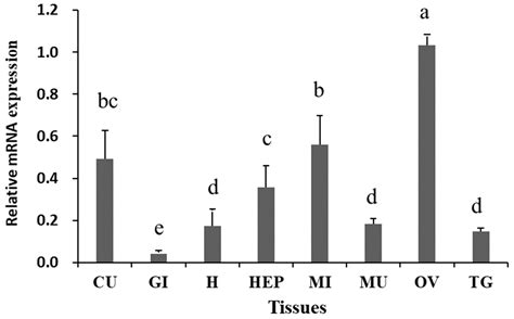 The Characteristics and Expression of RBX1 Gene Involved in Ovarian ...