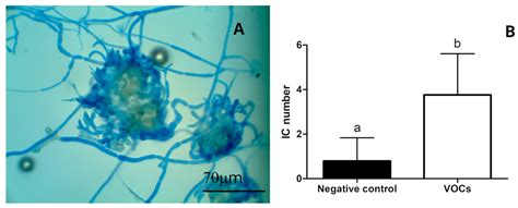 Effect of Volatile Compounds Emitted by an Endophytic Yeast Isolated from the Endemic Plant ...