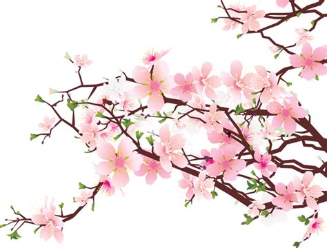 Free Cherry Blossom Clip Art, Download Free Cherry Blossom Clip Art png ...
