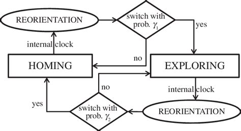 Image result for Random Walk Search Algorithm