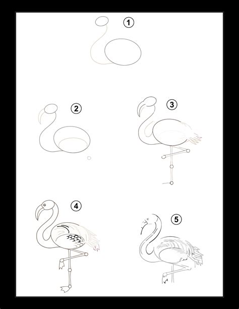 Image result for How to Draw Step By