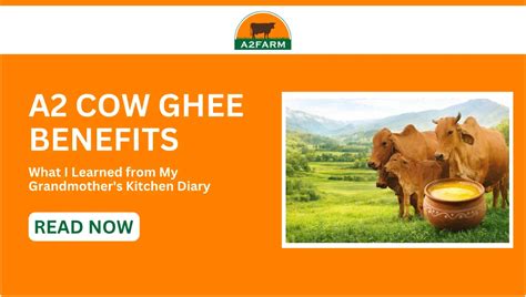 A2 Cow Ghee Benefits: What My Family's Kitchen Taught Me – A2 Farm