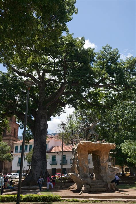 San Gil, Colombia. • Choosing Figs