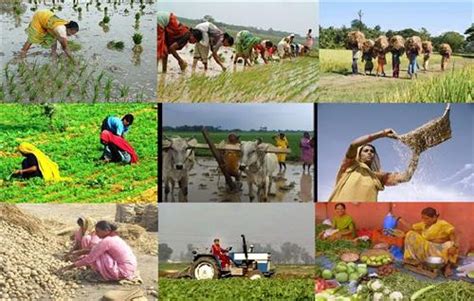 About Rewa, Introduction and Overview of Rewa, Facts About Rewa