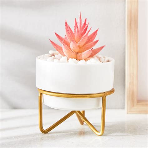 Buy Fiesta Ceramic Artificial Plant In Ceramic Pot from Home Centre at ...