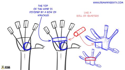 Image result for Hand Tutorial