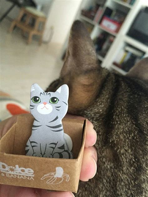 Image result for Cat Post It Notes