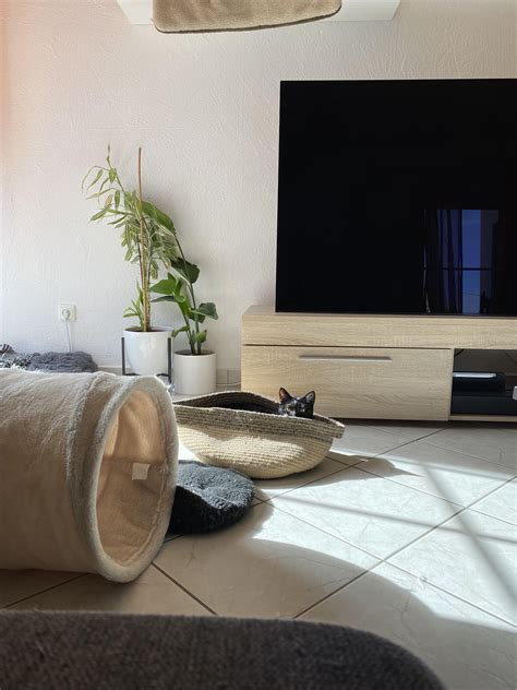 Starring Contest : r/FridayNightFunkin