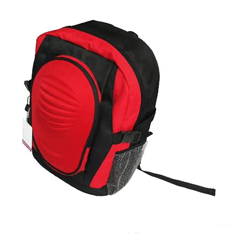 Backpacks 的图像结果