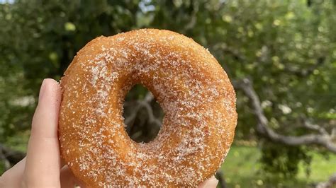 8 pick-your-own apple orchards within 2 hours of Charlotte - Axios ...