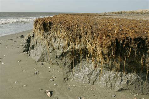 Free picture: beach, erosion, effects, coast