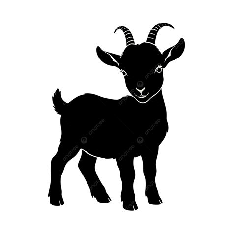 Image result for Best WA. Some Python Projects