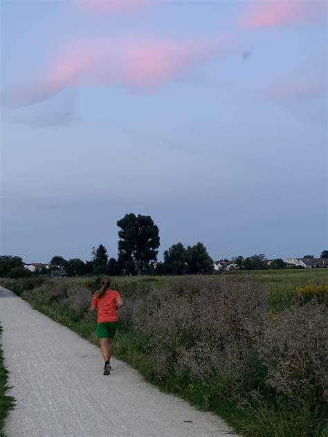 Image result for Kim Programm