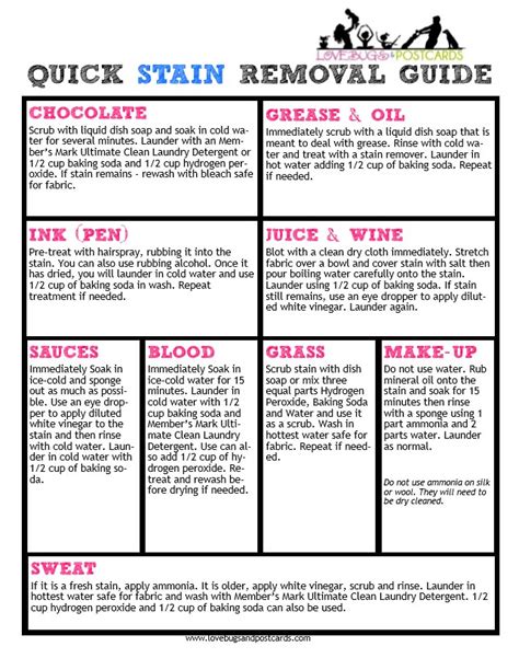 Image result for Stain Removal Reference Guide