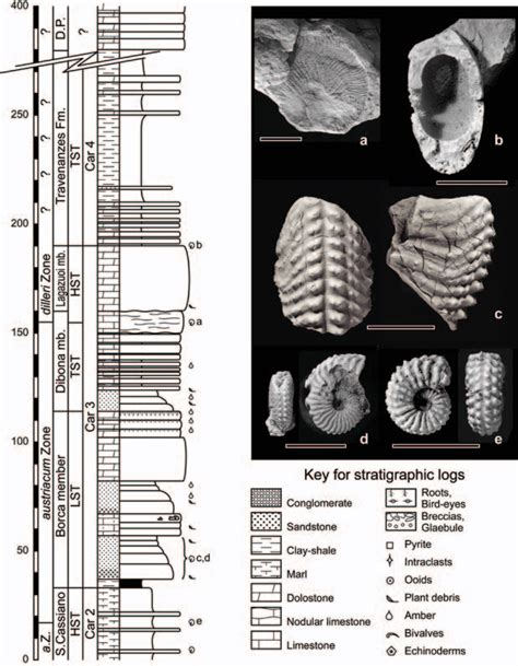 Figure 2 from THE CARNIAN PLUVIAL EVENT | Semantic Scholar
