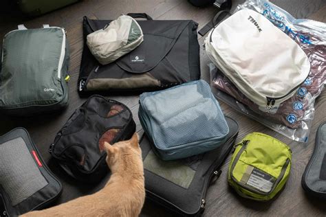 Image result for Using Packing Cubes for Travel