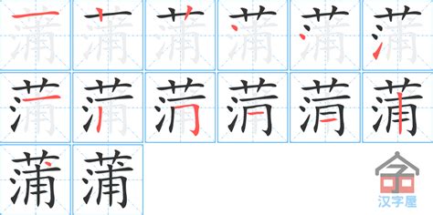 蒲字笔顺笔画顺序_蒲的笔顺怎么写正确_蒲字怎样写好看_蒲字拼音,部首,字帖_汉字笔顺查询网