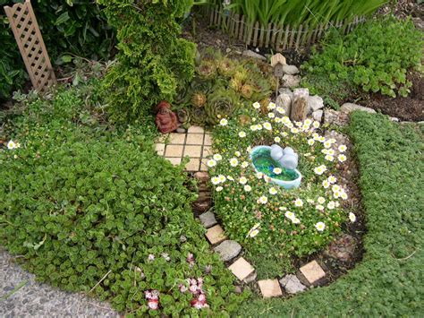 Miniature Garden Plants ‣ The Mini Garden Guru