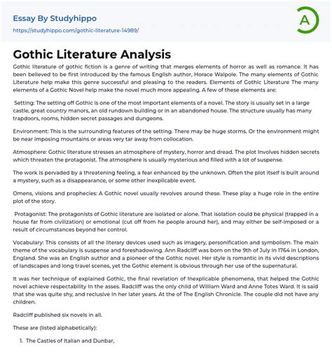 Gothic Literature Analysis Essay Example | StudyHippo.com