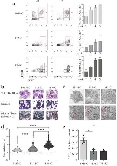 Fetal Tissue-Derived Mast Cells (MC) as Experimental Surrogate for In ...