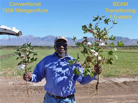 Image result for Johnson Su Composting Method