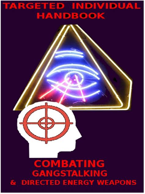 Targeted Individual Program 的图像结果