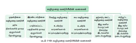 தாவர வழிமுறை வளர்ச்சி - வழிமுறை வளர்ச்சிக்கான காரணங்கள், பண்புகள் ...