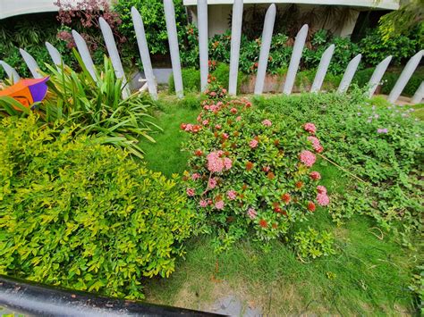 Samsung Note 10 Tutorials 的图像结果