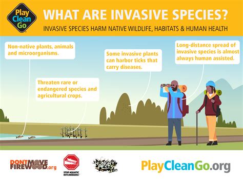 What are Invasive Species? - NAISMA