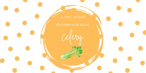 Journey to Motherhood: 36 Weeks Pregnant and Ready to Welcome – Snugkins