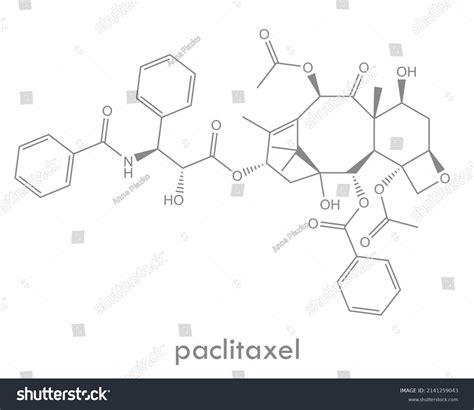 Paclitaxel Structure Chemotherapy Drug Molecule Used Stock Vector (Royalty Free) 2141259043 ...