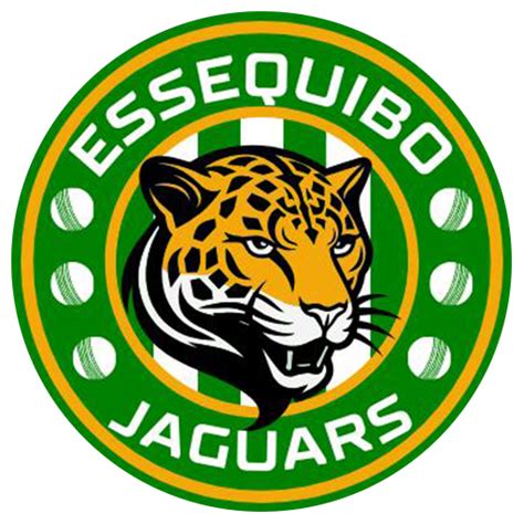 ESJ vs DEMH Live Score, scorecard Essequibo Jaguars vs Demerara Hawks ...