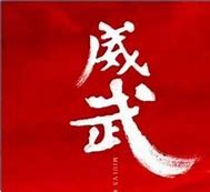 Image result for 威武