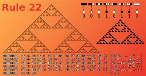 Image result for Creating Cellular Automata Java