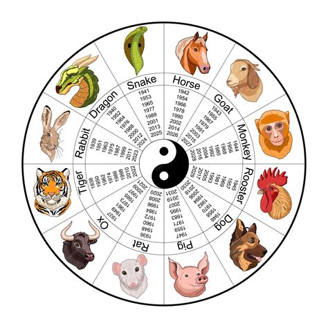 Chinese zodiac wheel with twelve animals and animal names, yin yang ...