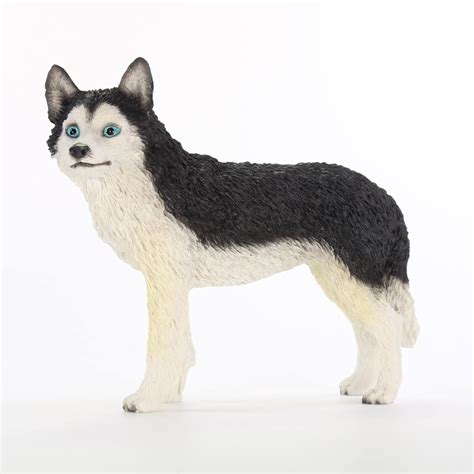 Conversation Concepts Husky, Black and White with Blue Eyes Figurine ...