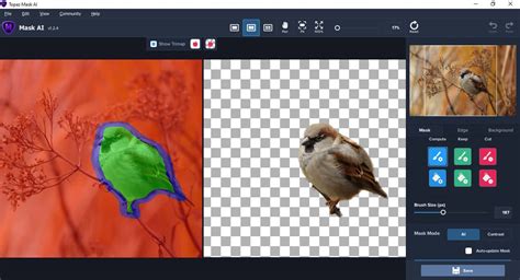 Image result for How to Use Topaz Mask AI