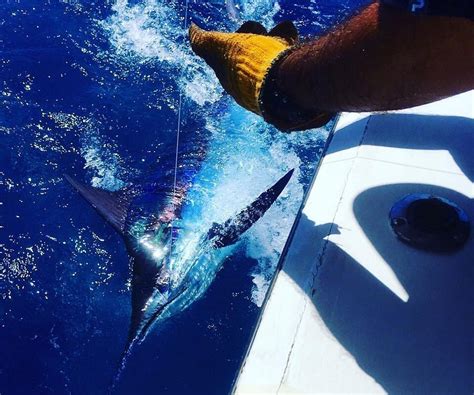 SEA BORN FISHING CHARTERS (2026) All You Need to Know BEFORE You Go ...