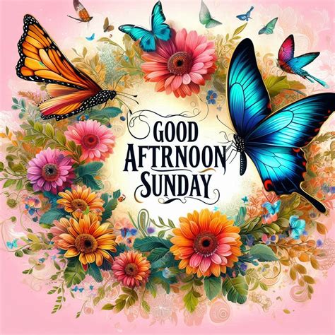 123+ Good Afternoon Sunday Images, Pictures, Photos & Pics