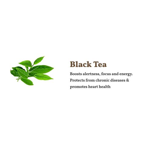 Assam Teas – Bold, Malty & Full-Bodied Indian Teas | Sancha – Sancha ...