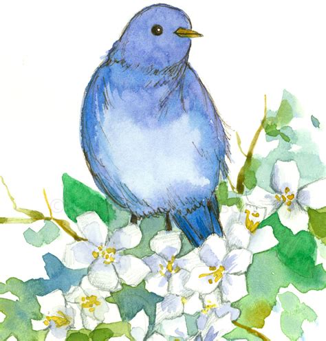 Idaho State Bird Mountain Bluebird Syringa Mock Orange Flower Fine Art ...