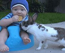 Image result for Cute Bunny Sticker GIF