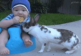 Image result for Cute Bunny Babies