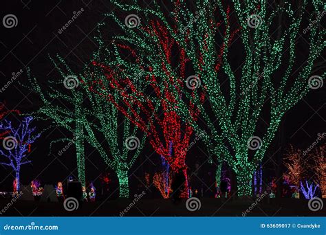 Holiday Lights at Night stock image. Image of decorations - 63609017