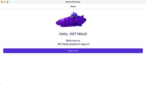 .NET Maui Tutorial 的图像结果