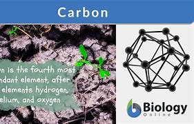 carbon 的图像结果