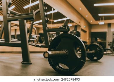 Weight Lifting Gym 的图像结果