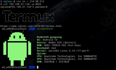 How to Find URL Parameter Using Termux 的图像结果